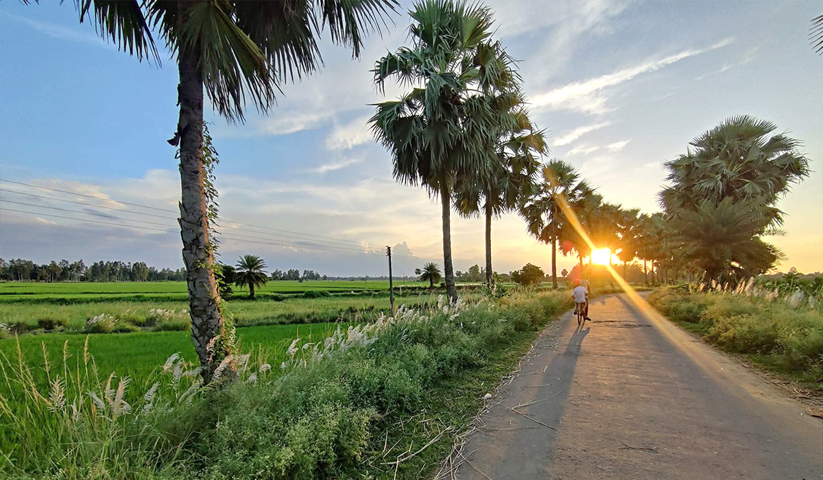 Maldaha (SC) Assembly Election 2026: Profile and Candidates